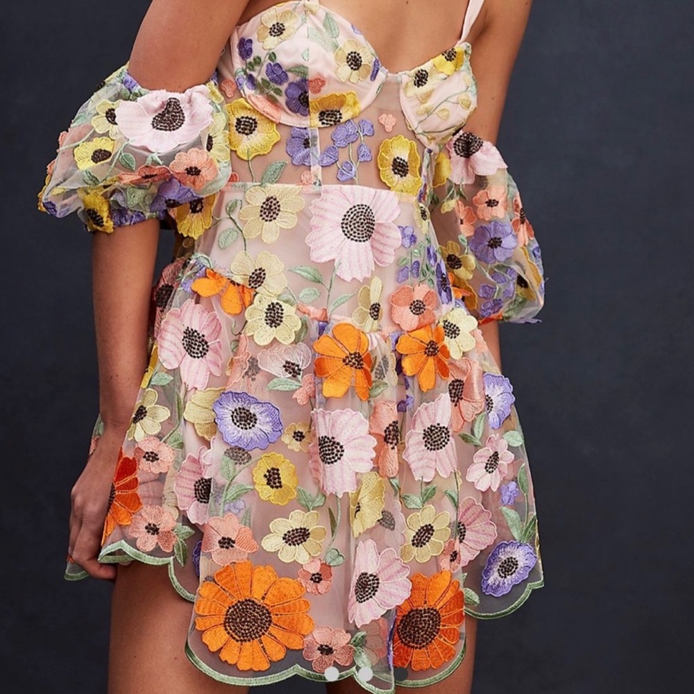 For Love & Lemons Floral Embroidered Sheer Mini Dress in Pastel Multi